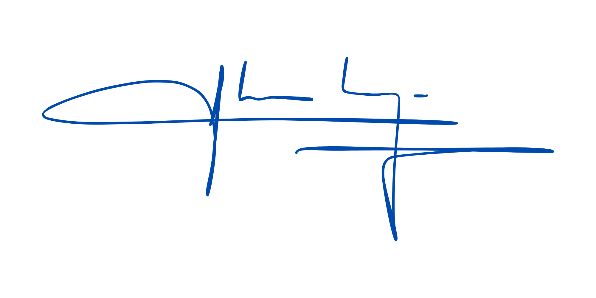 Vereinsvorstand ali kaya signature