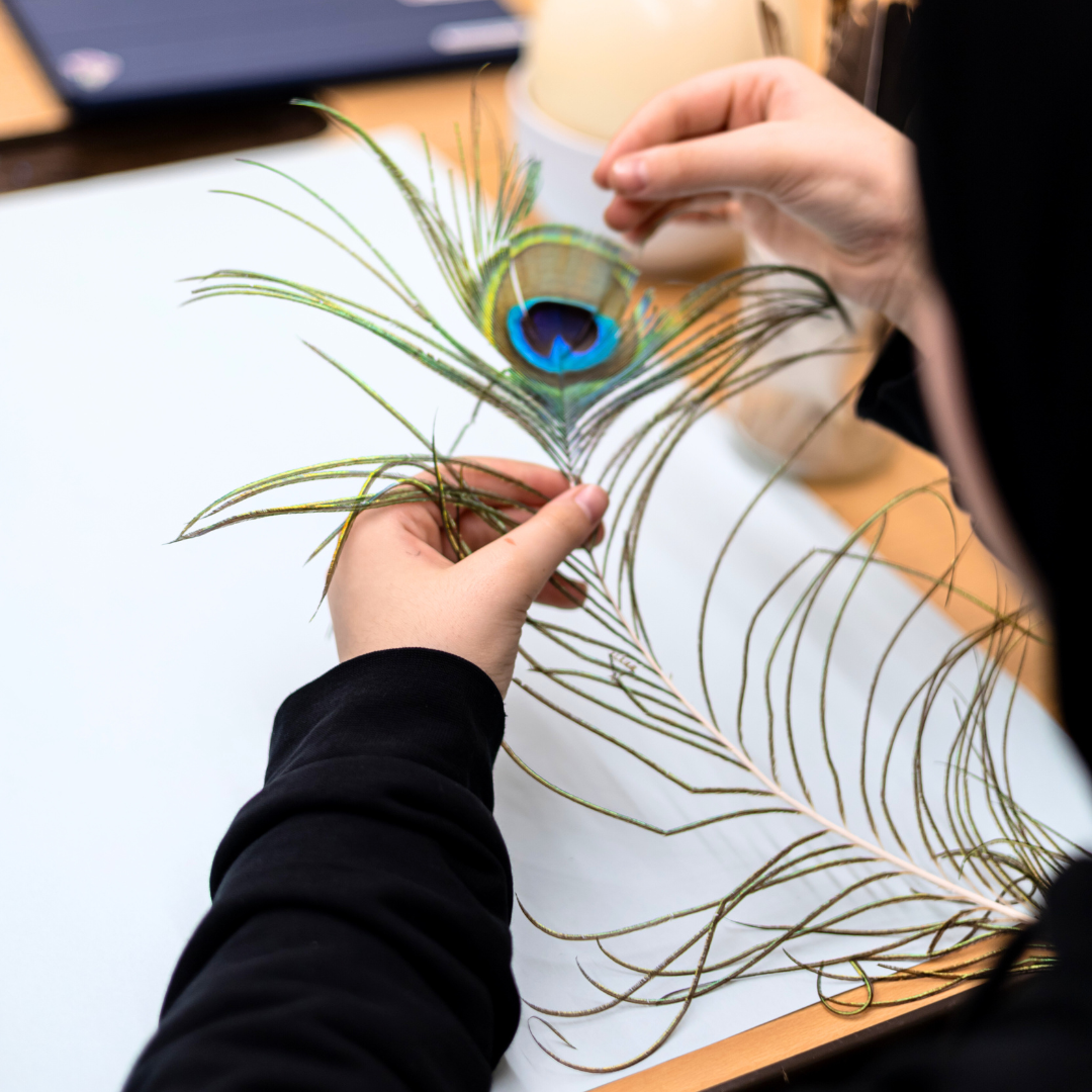 biologieraum islamisches realgymnasium wien